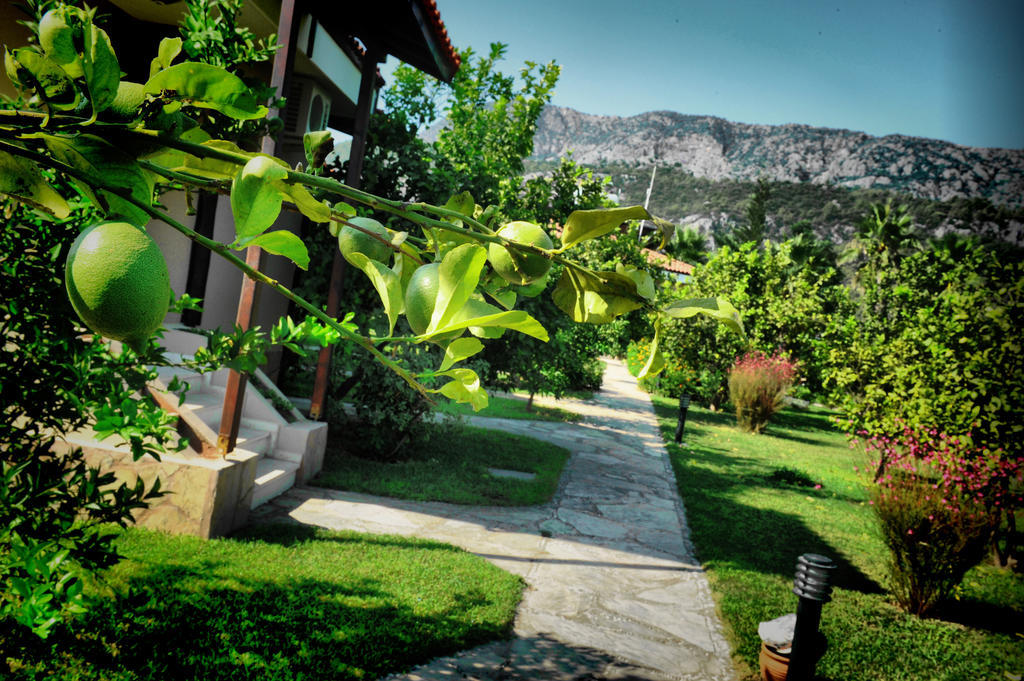 Nerissa Hotel Çıralı Exterior foto