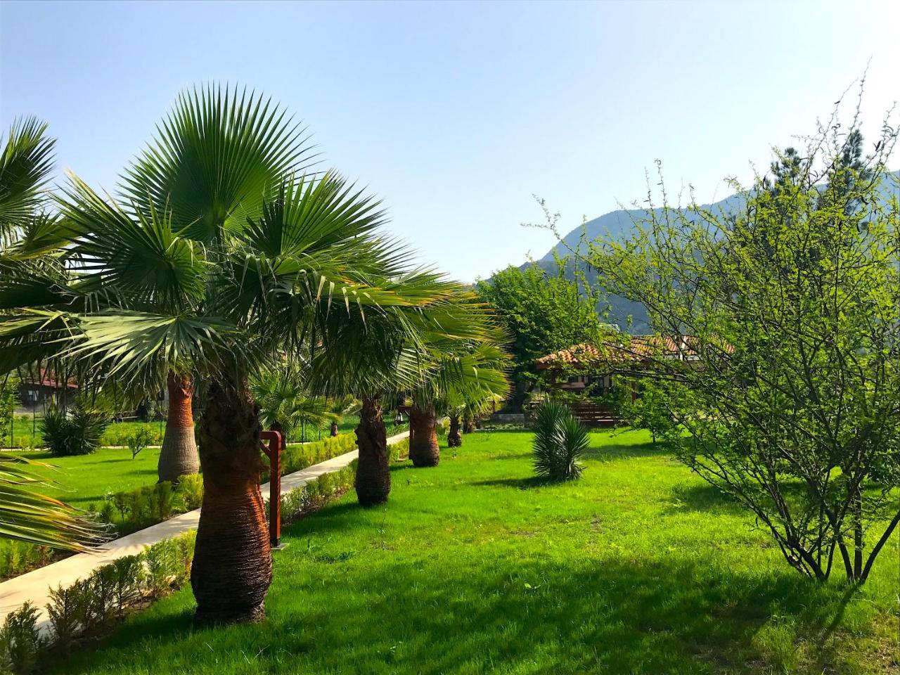 Nerissa Hotel Çıralı Exterior foto
