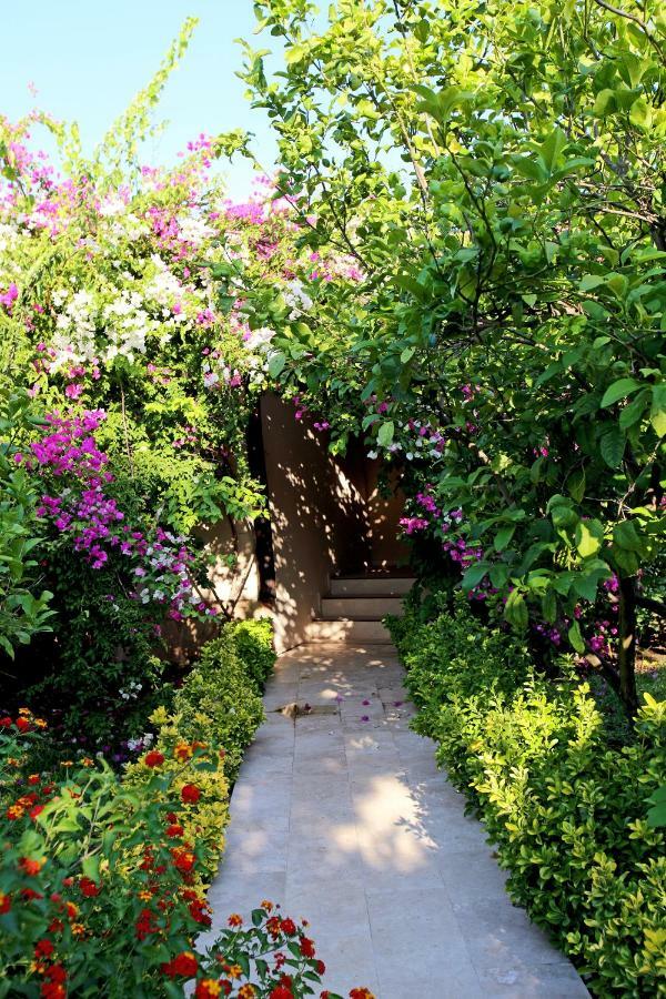 Nerissa Hotel Çıralı Exterior foto